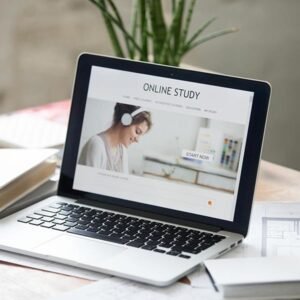 Professional web development