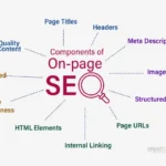 What is the Role of Social Media Signals in On-Page SEO?